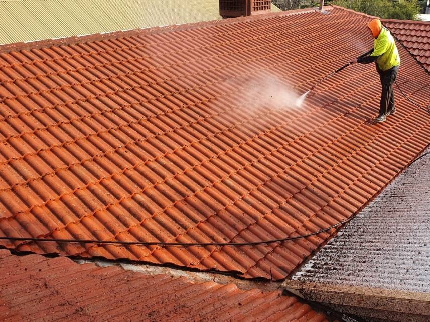 roof cleaning