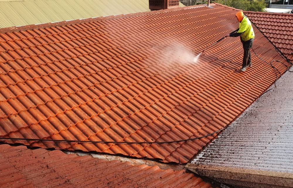 roof cleaning
