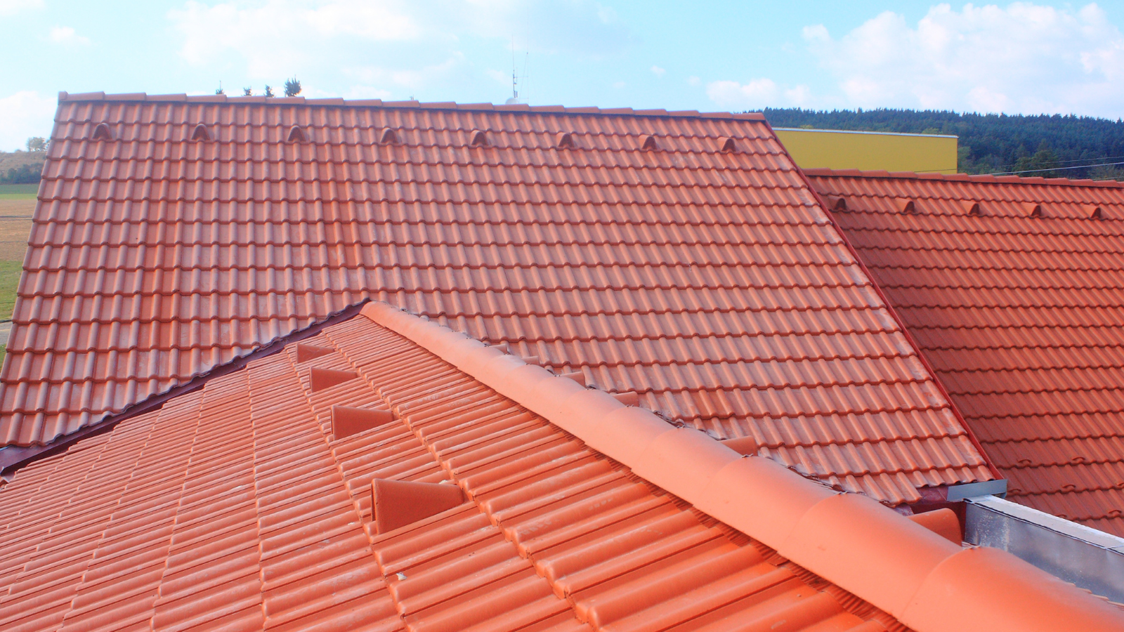 untitled (1920 x 1080 px) (29)